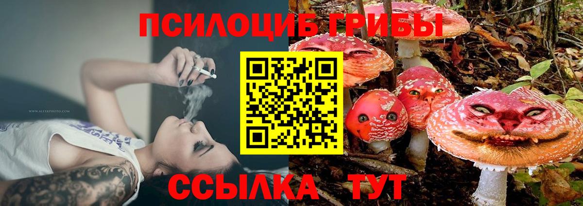 Галлюциногенные грибы мицелий  Вход с VPN  купить наркотики цена  Псилоцибиновые грибы Cubensis  Кудымкар 