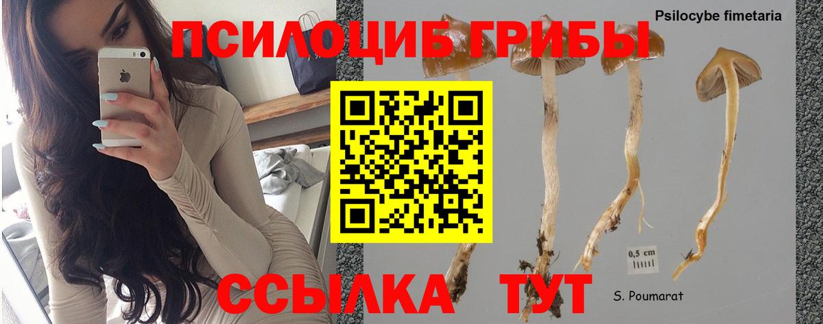 Галлюциногенные грибы MAGIC MUSHROOMS Кудымкар